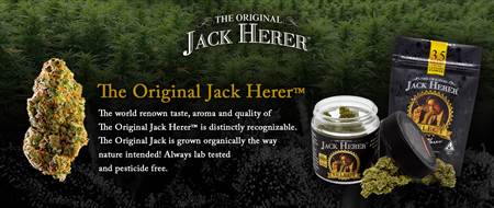 Herer Group-The Original Jack Herer